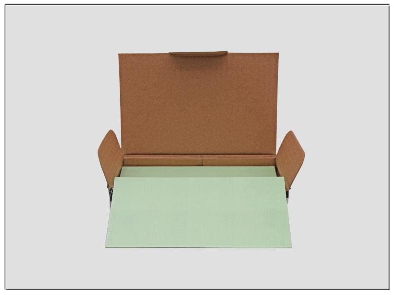 CS - P2500