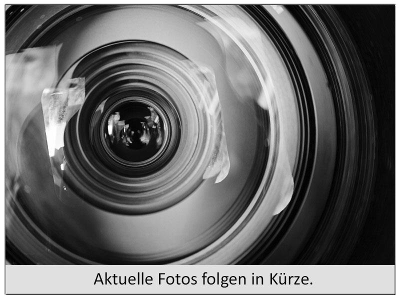 Schiebehalterung Never Loose