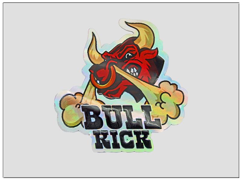 Sérgio's Pillon Bull Kick Kit Set 2 mit 6.Adaptern